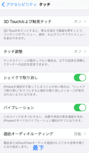 iOS14 アクセシビリティ